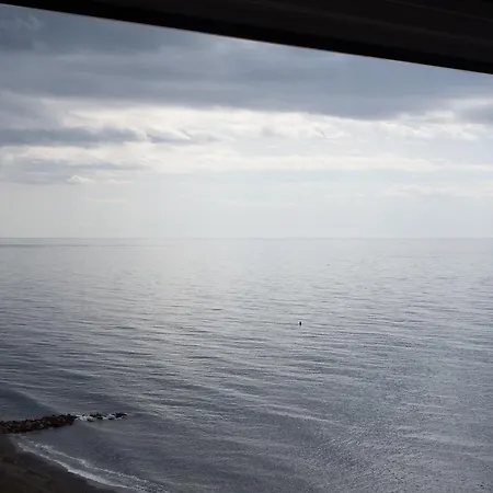 Palmbeach * Algarrobo