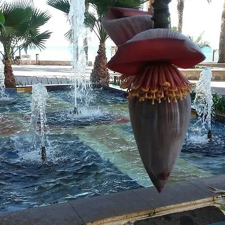 Palmbeach